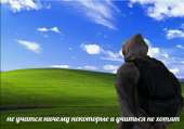 640x448