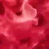 360x360