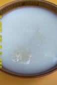 360x528