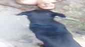 640x360