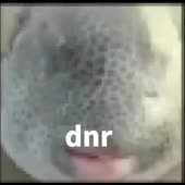 480x480