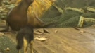 640x360