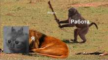 634x356