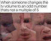 536x436