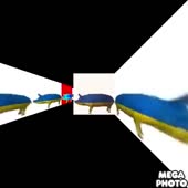 480x480
