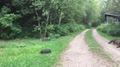 640x360