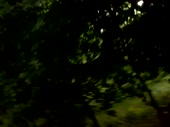 480x360