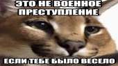 1280x720