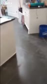 464x828
