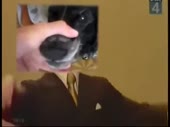 480x360