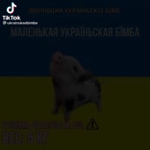 576x576