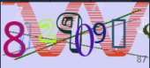 218x99