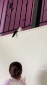 464x848