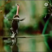 360x360