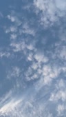 360x636