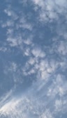 360x636