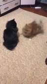 360x640