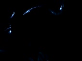 320x240