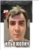 334x427