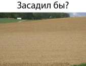 1280x990