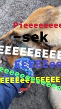 576x1024