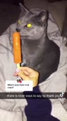 360x640