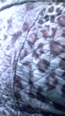 202x360