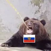 320x320