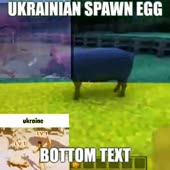 360x360