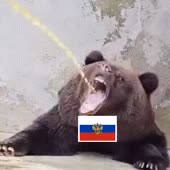 320x320