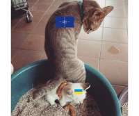 1280x1069