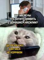 788x1080