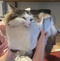 1927x1935