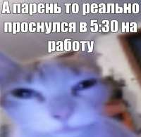 828x808