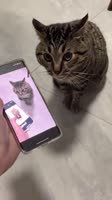 608x1080