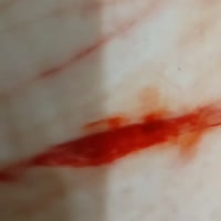 576x576