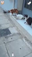 360x640