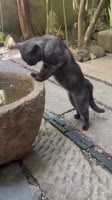 360x640
