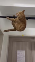 360x640