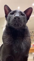 640x1138