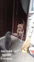 360x640