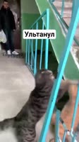 360x640