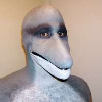 800x800
