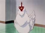 919