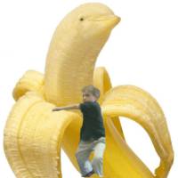 339