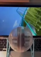 352x480