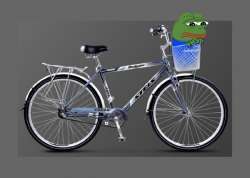 600x429