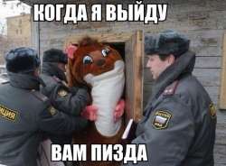 51