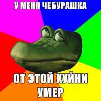 479x479