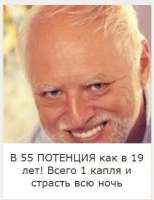333x431